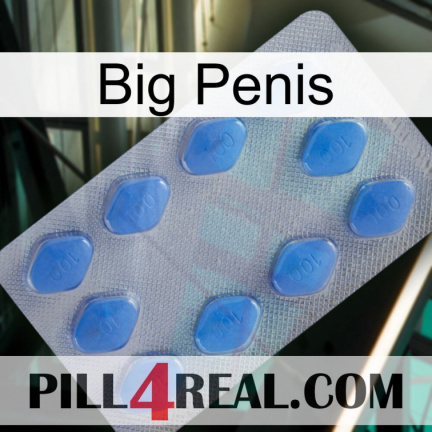 Big Penis 21